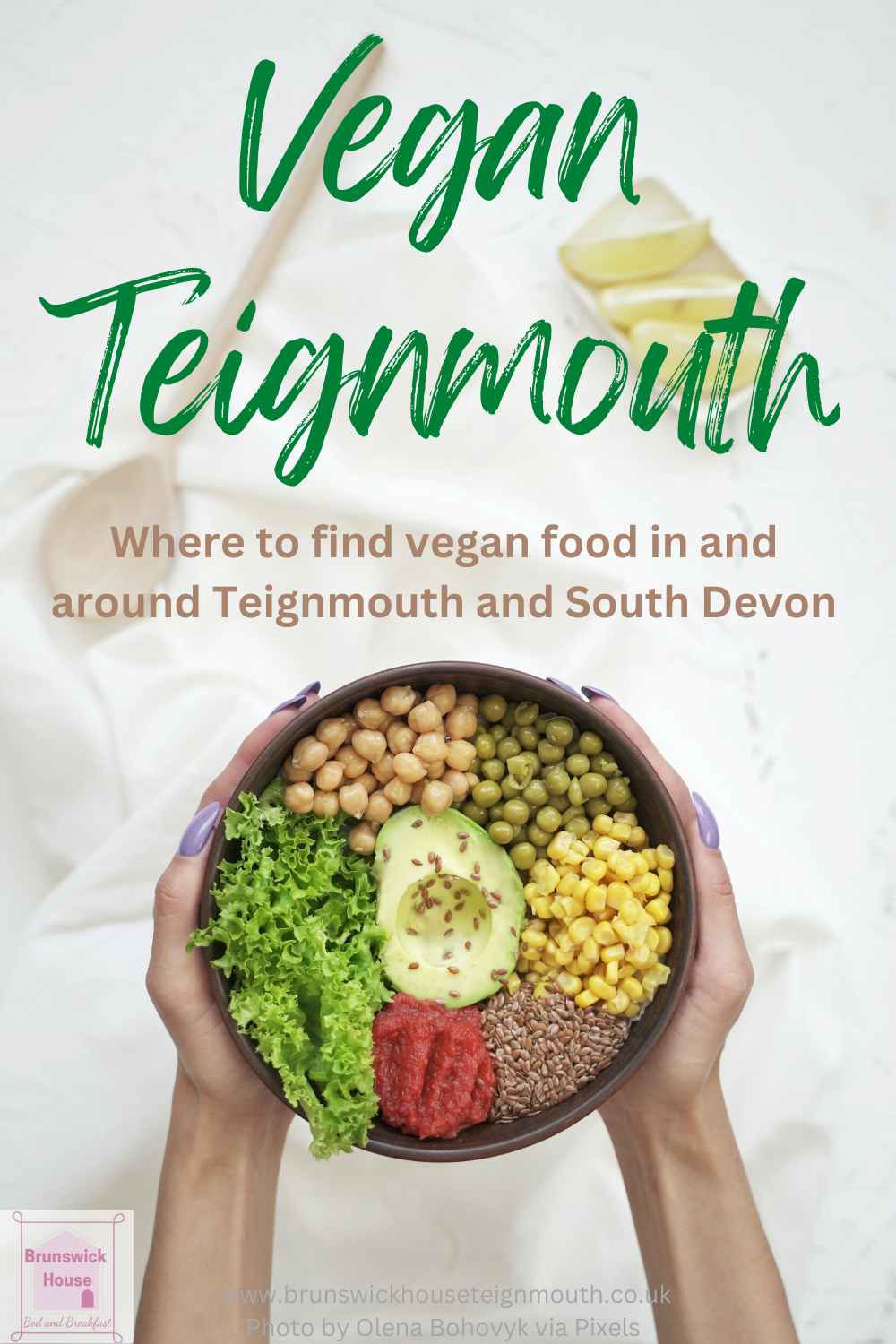 Title image - vegan Teignmouth